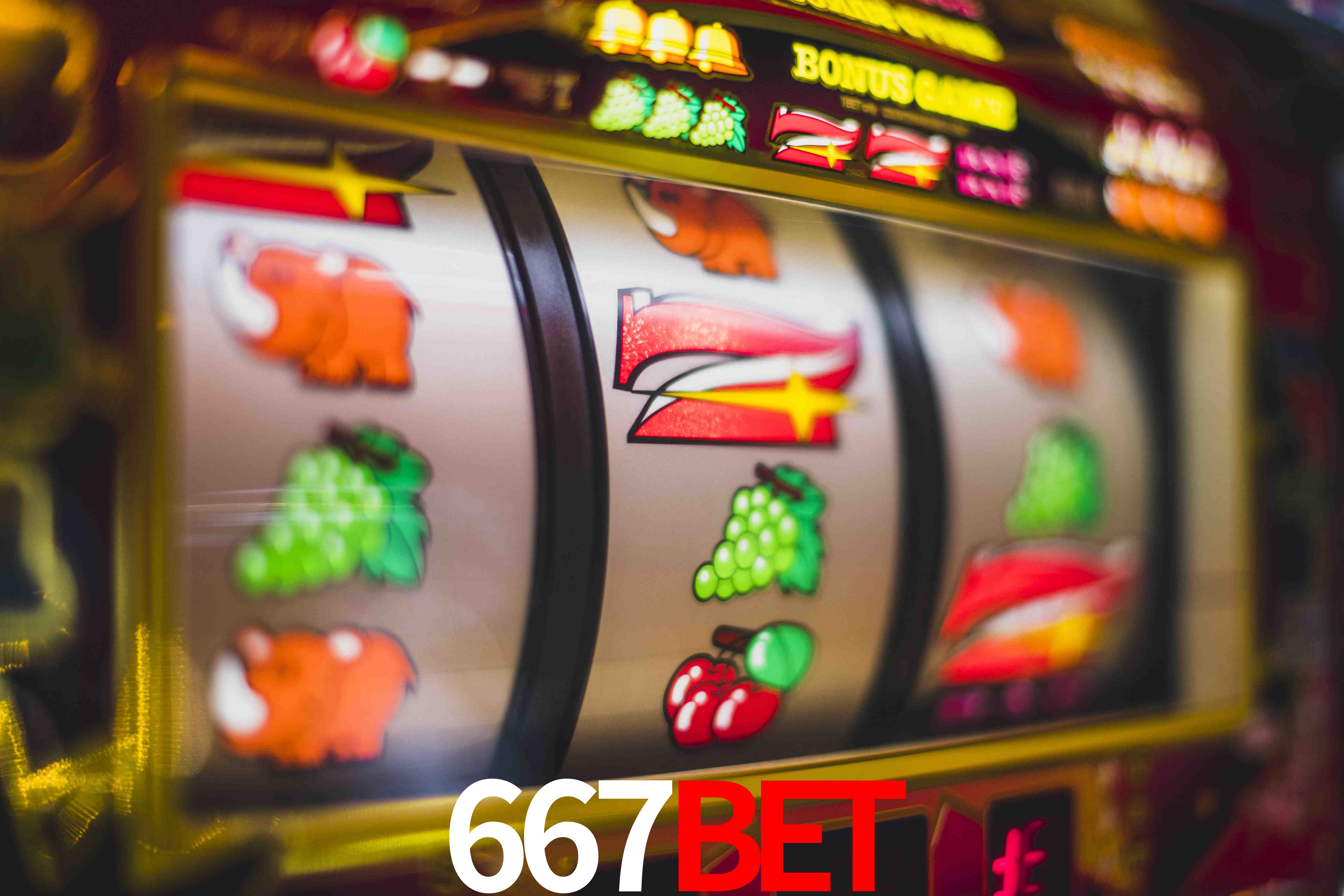 Statistics 667bet